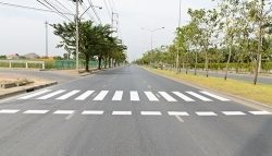 Shutterstock 1248098831