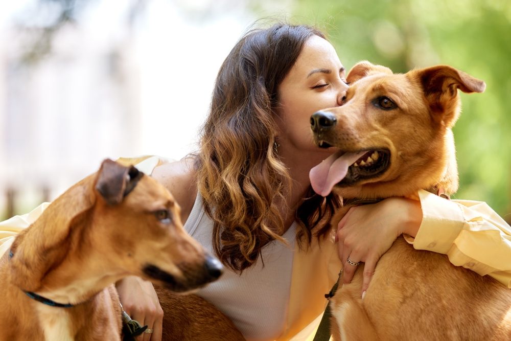 What is the Statute of Limitations for Dog Bite Claims in Georgia?