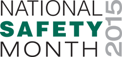 Nsm logo 2015