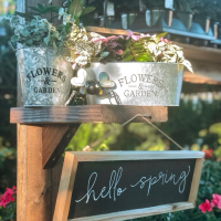 spring-flowers